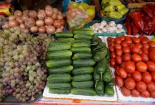 Фермеры Абайской и Атырауской областей представят свою продукцию в Астане