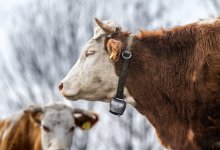 Офлайн-этап сельскохозяйственной переписи стартует в Казахстане