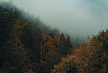 Туман и усиление ветра прогнозируют в Алматы