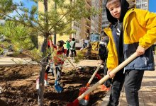 Астана вышла на масштабный субботник: тысячи жителей очищают столицу