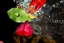 Погода порадует жителей Шымкента на рабочей неделе, 22–26 сентября