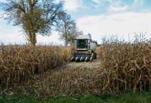 Пенсионера зажевало в комбайн во время уборки урожая