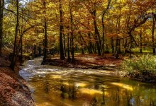 Дожди и заморозки ожидаются в Казахстане