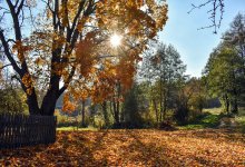Сильный ветер надвигается на Шымкент