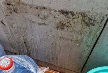 Грязь и посуда с плесенью: родители в шоке от столовой школы Алматы (ВИДЕО)