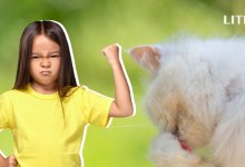 Жестокие игры: как дети превращаются в мучителей животных