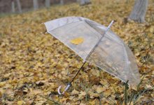 Сильные дожди с грозами накроют Казахстан