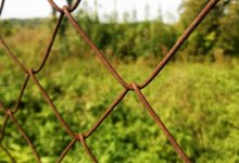 Депутат поднял проблему незаконных земельных участков на Капчагае и Или