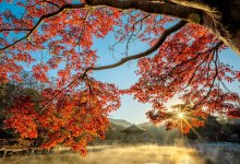 Сильные ветры и пожарная опасность ожидаются в ряде областей Казахстана