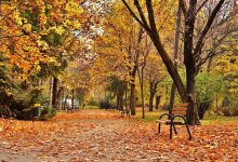 Сильный ветер прогнозируют синоптики в Астане и Алматы