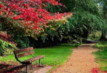 Резкое усиление ветра ожидается в Шымкенте