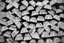 Серебро быстрорастущее