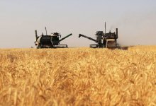 “Казахстан может занять нишу в премиум-сегменте – органик, “зеленая продукция”, халяль” – Тлектес Есполов