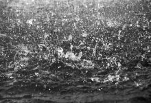 Сильный дождь затопил улицы Усть-Каменогорска (ВИДЕО)