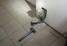 Спасатели вызволили кошку из ловушки в Астане