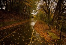 Дождь с грозой и сильный ветер ожидаются в Шымкенте