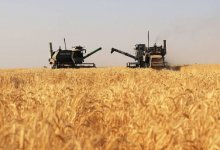 19 тысяч жителей Жамбылской области повысили финансовую грамотность и решили вопросы с кредитами