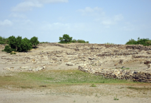 Конкурс на сохранение памятника с костями древних животных объявили в Павлодаре