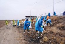 Road-эстафета Taza Qazaqstan проходит в Жамбылской области