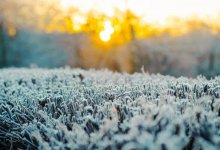 Заморозки ожидаются в пяти областях Казахстана 2 октября