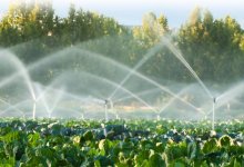 Водосбережение выросло на 86% в Казахстане