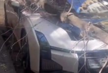 Дерево рухнуло на редкую спортивную машину в Алматы (ВИДЕО)