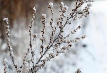 Похолодание с дождем и снегом накроет север Казахстана