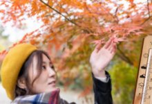 Прохладную погоду пообещали жителям Астаны и Алматы