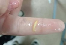 Червя в супе нашли школьники из села в ВКО