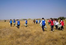 Эстафета "Taza Qazaqstan" объединила молодежь и жителей Туркестанской области