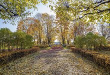 Холодный старт недели: прогноз погоды в Алматы и Астане на 6 октября