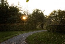 Жара до +23 ожидается в Шымкенте