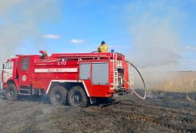 Пожар охватил несколько гектаров камыша близ Астаны