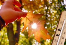 До +25 градусов прогреется воздух в Шымкенте