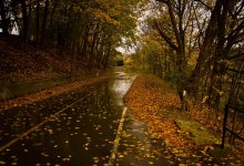 Резкое похолодание и заморозки ожидаются в Казахстане