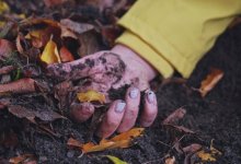 Тело женщины найдено у школы в Караганде