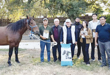 Новые национальные породы лошадей победили на республиканской выставке