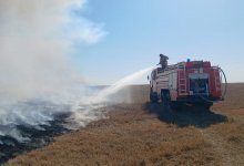 Сухая трава горела на площади 23 га в Акмолинской области