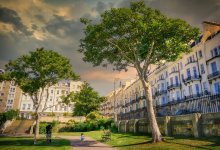 Деревья залили бетоном в Балхаше: акимат прокомментировал инцидент