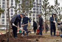 "Таза Қазақстан": Астана провела общегородскую уборку с посадкой деревьев