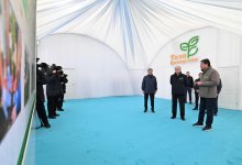 Президент призвал усилить работу по экологии и инфраструктуре Астаны