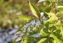 Гололед, туманы и заморозки: синоптики предупредили казахстанцев