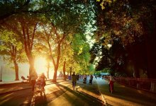 Солнечно и сухо: в Шымкенте сохраняется теплая погода