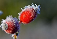 Морозные ночи и ясные дни – прогноз погоды на неделю в Астане