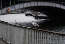 Заморозки и сильный ветер ожидаются в отдельных регионах Казахстана