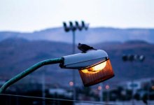 Некоторые районы Алматы останутся без света