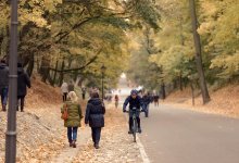 5 причин, почему вы начинаете чаще болеть осенью