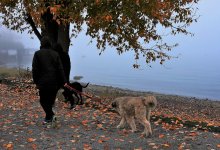 Заморозки до -9 и снег ожидаются в Казахстане