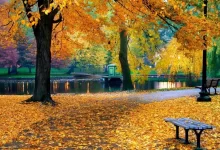 В Алматы придет "второе бабье лето": синоптики обещают до +21°C