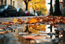 В Астану возвращается солнце: прогноз с 20 по 24 октября